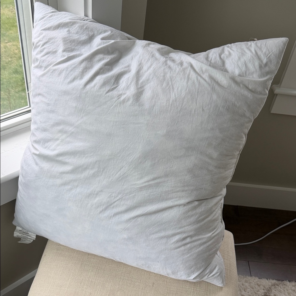 White Down Feather Pillow Insert - 24 x 24 inches